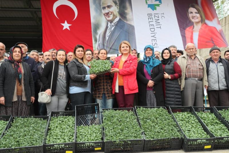 İZMİT BELEDİYESİ, 52 KÖYDE ÇİFTÇİLERE SEBZE FİDESİ DAĞITACAK