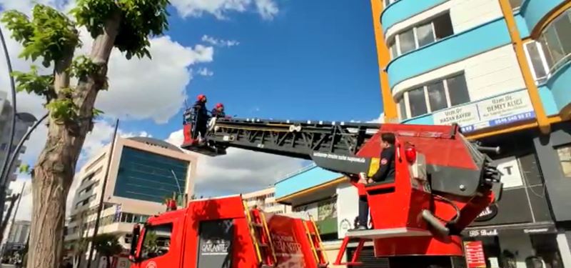 BÜYÜKŞEHİR İTFAİYE EKİPLERİ AĞIR HASARLI BİNADA MAHSUR KALAN KEDİYİ KURTARDI