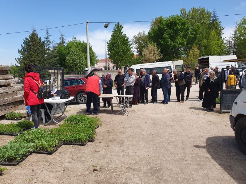 KIRŞEHİR BELEDİYESİ, 501 BİN FİDEYİ YERLİ ÜRETİCİ İLE BULUŞTURDU