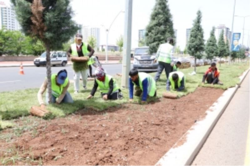 Kavşak ve refüjlerde peyzaj düzenleme çalışmaları sürüyor