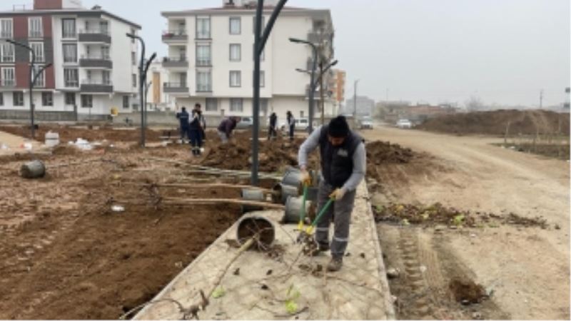 BELEDİYE, BATMAN’I AĞAÇLARLA YEŞİLLENDİRİYOR