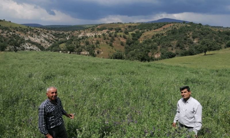 Çiftçiler, Büyükşehir’in Projesinden Yüksek Verim Aldı