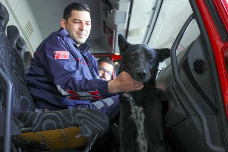 İtfaiyeciler Kurtardıkları Sokak Köpeğini Sahiplendi