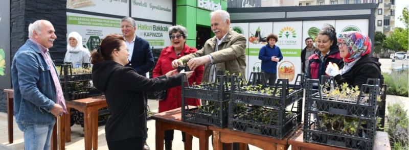 Yerel Tohumlardan Üretilen Fideler Kentlilerle Buluşmaya Devam Ediyor