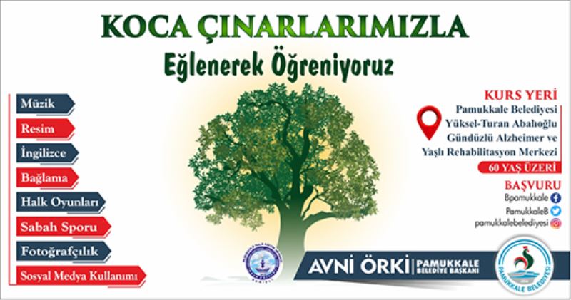PAMUKKALE BELEDİYESİ’NDEN KOCA ÇINARLARA MÜJDE