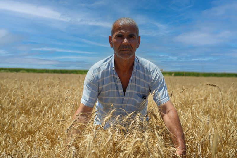 TARSUS BELEDİYESİ TARAFINDAN CEZAEVİ ARAZİLERİNE EKİLEN BUĞDAYLARIN HASADI GERÇEKLEŞTİRİLDİ