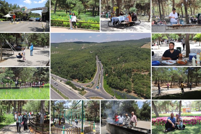 YAKLAŞIK 40 BİN KİŞİ, HAFTA SONUNU DÜLÜK’TE GEÇİRDİ