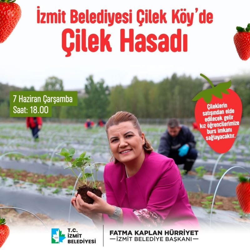 İZMİT BELEDİYESİ, ÇİLEK KÖYÜ’NDE İLK HASADI YARIN YAPIYOR!