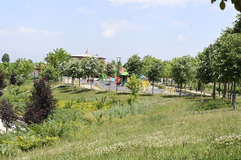 MEVSİMLİK ÇİÇEKLERLE ŞEHRİMİZİ GÜZELLEŞTİRİYORUZ