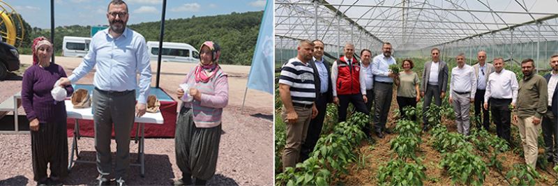 İzmit Dağköy’de araka hasat şenliği düzenlendi
