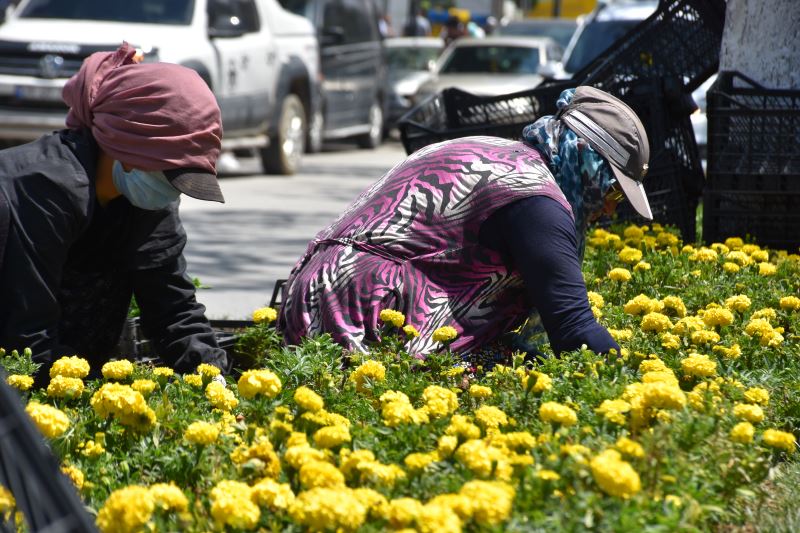Çiçek gibi bir Tatvan için kolları sıvadık