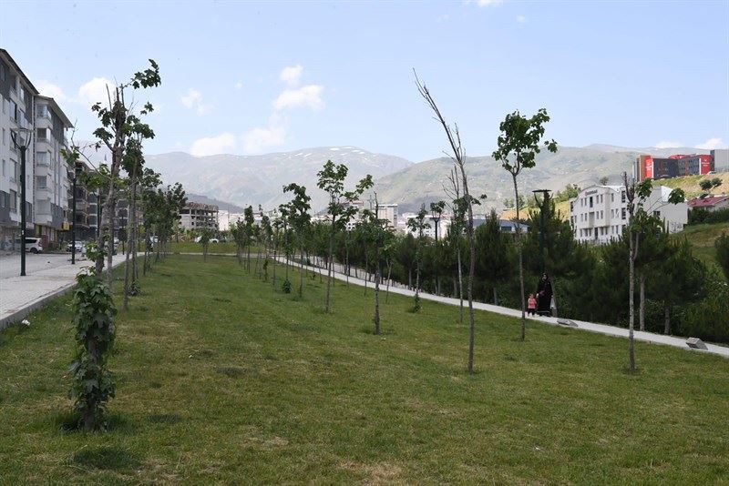 YEŞİL ALANLARIMIZI KORUYALIM