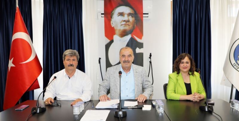 ÇAĞRIŞAN-GÖYNÜKLÜ VE BADEMLİ KÖY İÇİ İMAR PLANLARI ONAYLANDI