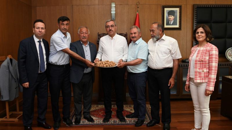 Başkan Güngör; “Çağlayancerit Cevizi Artık Dünya Markası”