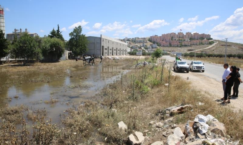 Yağışlar Sonrası Vektör ve Haşereyle Mücadele Çağrısı