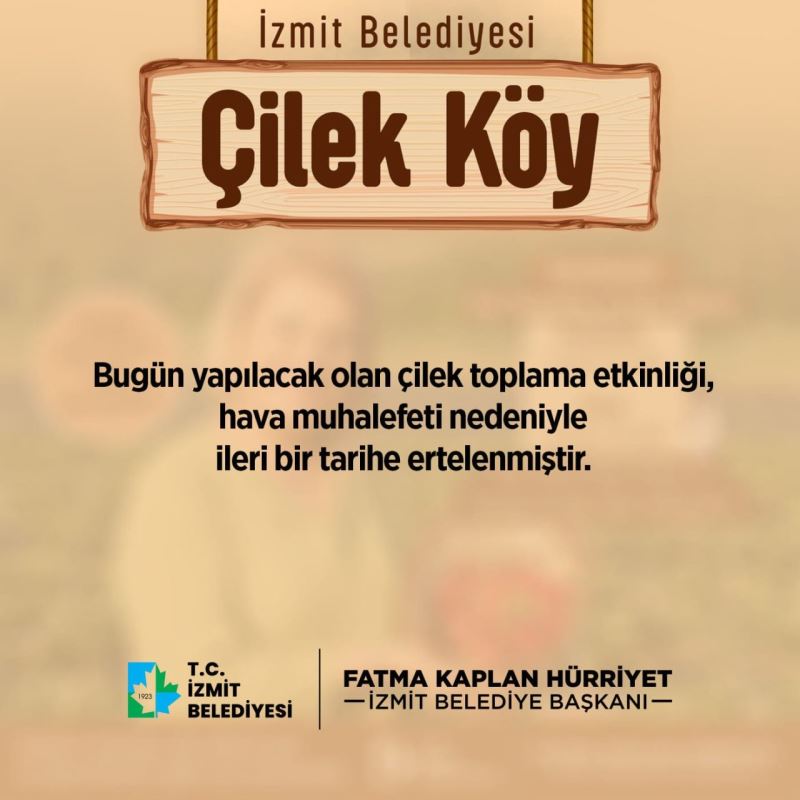 ÇİLEK HASADI HAVA MUHALEFETİ NEDENİYLE ERTELENDİ