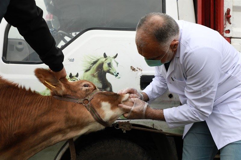 Kurban Bayramı Öncesi Denetimlerimiz Devam Ediyor