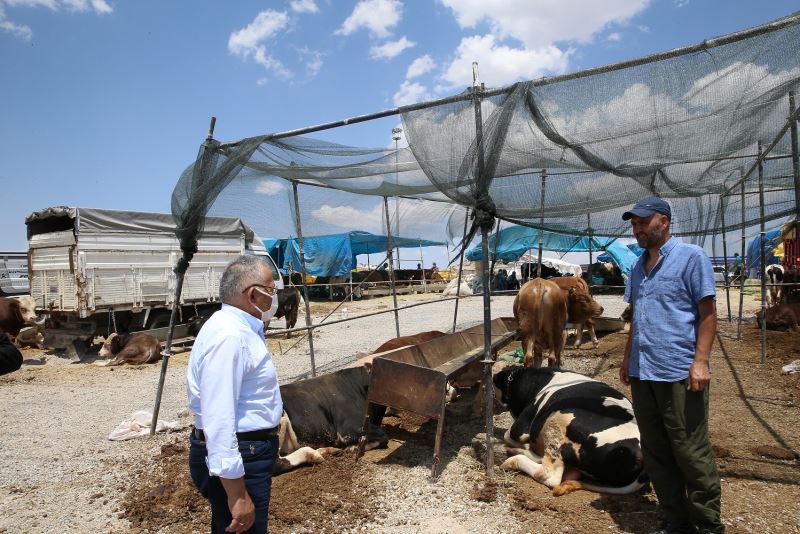 Büyükşehir Kurban Satış ve Kesim Yerlerinde Tüm Tedbirleri Aldı