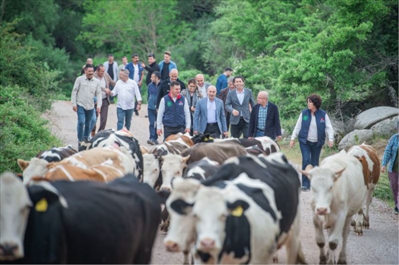 Bergama’da yayla yolculuğu başladı