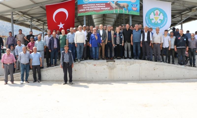 Sürülerde Verimlilik ve Kalite için Koçlar Büyükşehir