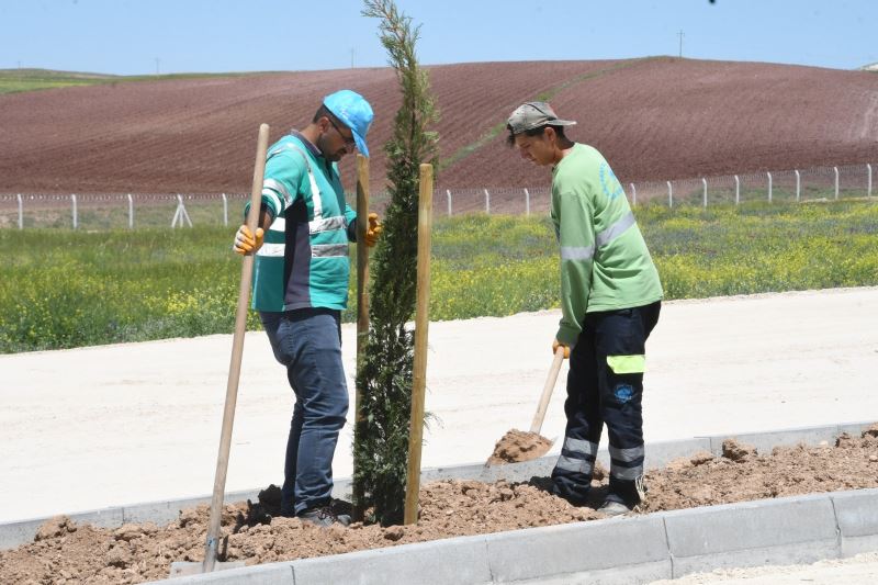 YENİ ŞEHİR MEZARLIĞI VE KÜLLİYESİNDE AĞAÇLANDIRMA VE PEYZAJ ÇALIŞMALARI BAŞLADI