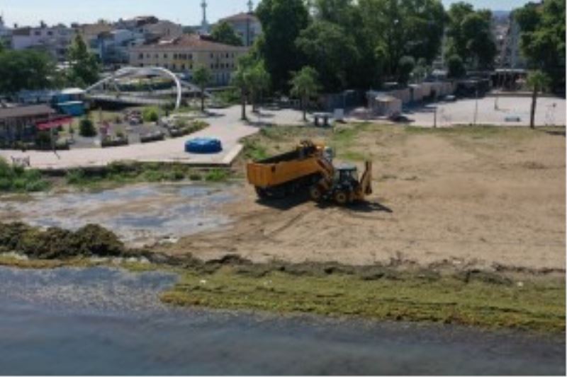 LODOS’TAN DOLAYI OLUŞAN YOSUNLAR KISA SÜREDE TEMİZLENDİ