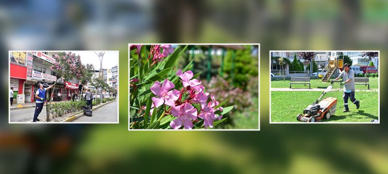 PARK BAHÇE EKİPLERİ ŞEHRİ GÜZELLEŞTİRİYOR