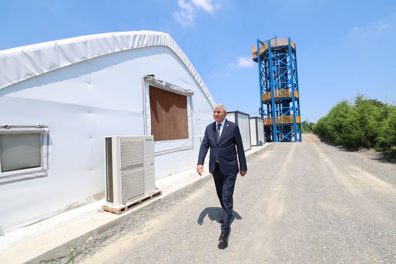 Lezzet harikası ‘istiridye mantarı’ Büyükşehir eliyle sofraya geliyor: “Sakarya mantar üssü olacak”