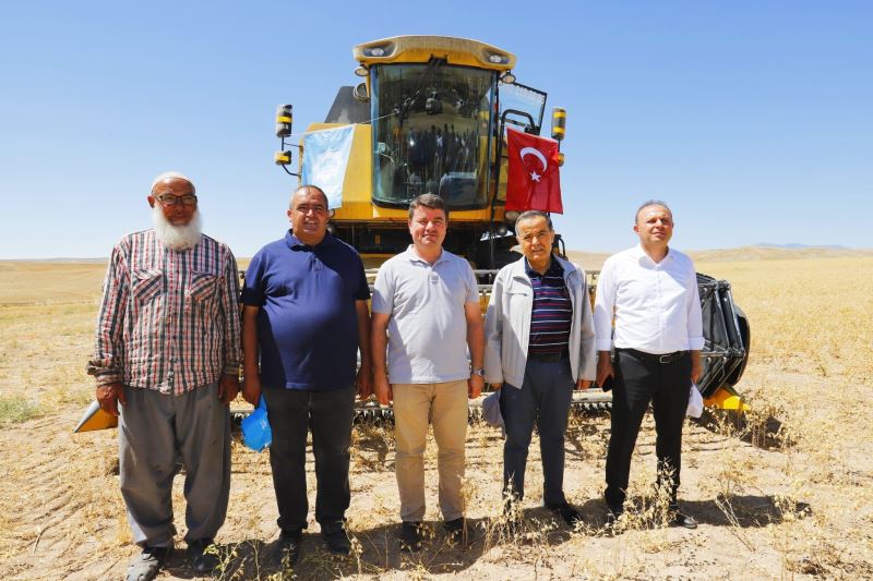 AKSARAY BELEDİYESİNE AİT ARAZİDE NOHUT HASADI BAŞLADI