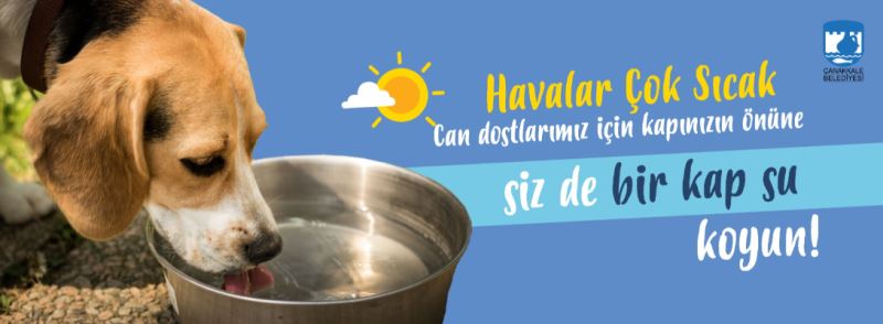 Can Dostlarımız İçin Kapınızın Önüne Siz de Bir Kap Su Koyun…