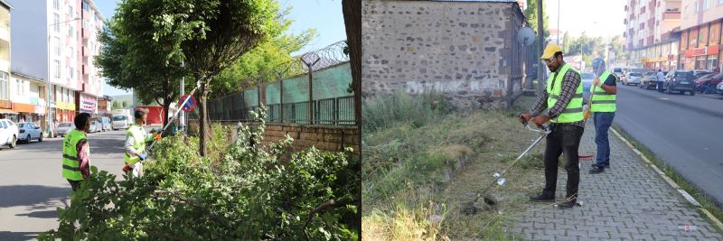 AĞAÇLAR BUDANIYOR, KALDIRIM VE YOL KENARLARINDAKİ YABANİ OTLAR TEMİZLENİYOR