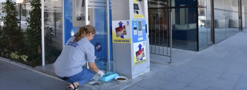 Can Dostlar İçin Bir Kap Su, Bir Kap Mama…