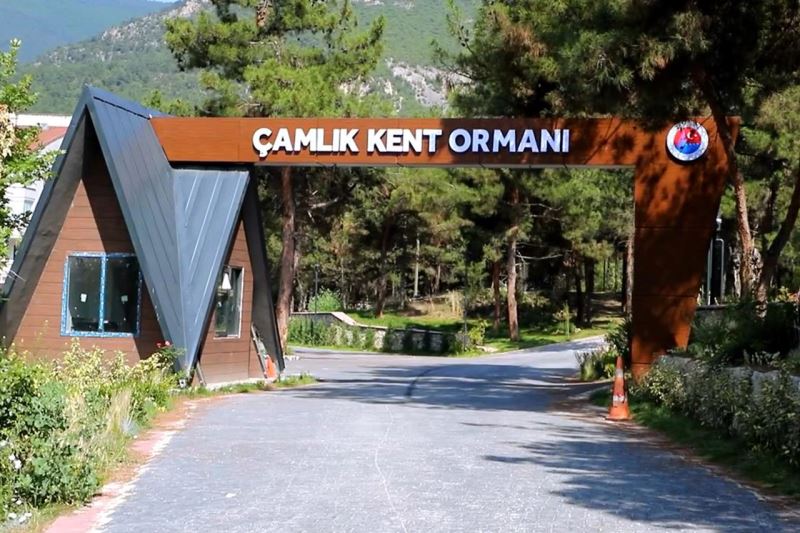Şirinevler Çamlık Kent Orman Şimdiden Büyük İlgi Görüyor