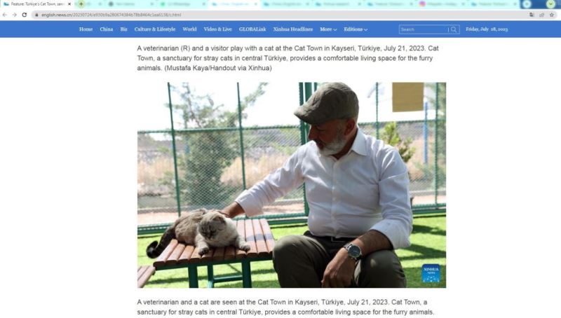 KAYSERİ’DE İLK OLAN ‘KÜÇÜK DOSTLAR KEDİ KASABASI’ ULUSLARARASI AJANSLARDA DA GÜNDEM OLUŞTURDU