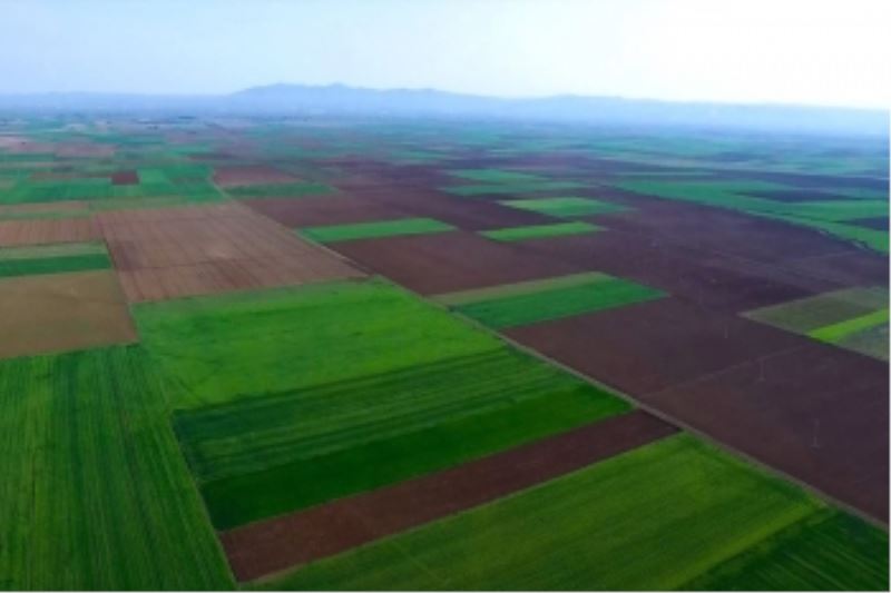 BÜYÜKŞEHİR ‘ALPU OVASI’NDA KAMULAŞTIRMAYA İZİN VERMEDİ