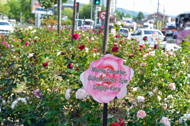 Kastamonu’nun Güzelliklerine Birlikte Sahip Çıkalım