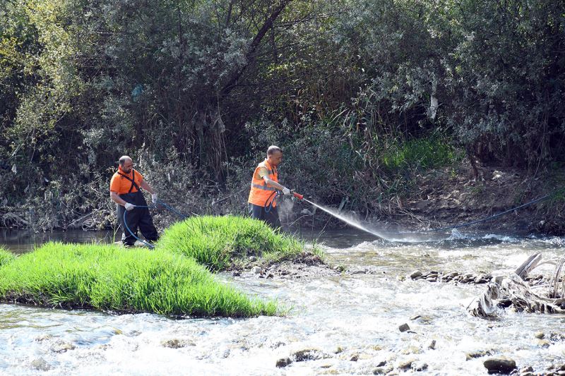 Karabük Belediyesi Sivrisinekle Mücadele Çalışmalarına Devam Ediyor