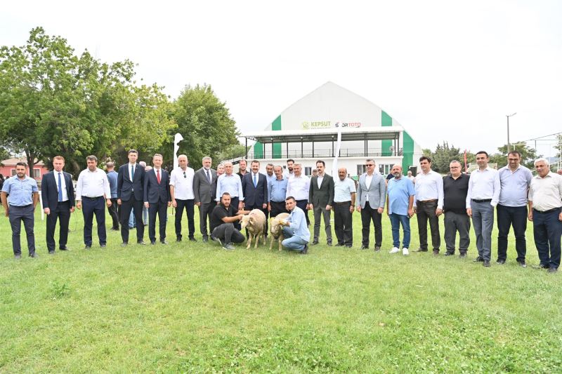 85 Üreticiye 585  Küçükbaş Desteği