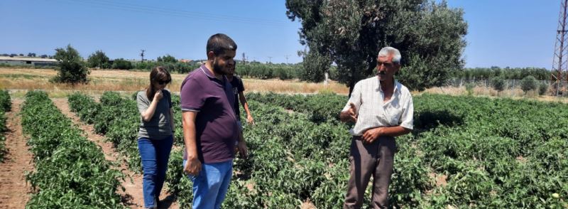130 Bin Domates Fidesi Üreticiyle Buluştu