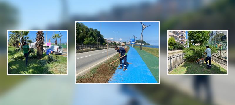 ŞEHİR GENELİNDE PEYZAJ ALANLARININ BAKIM VE DÜZENLEME ÇALIŞMALARI DEVAM EDİYOR