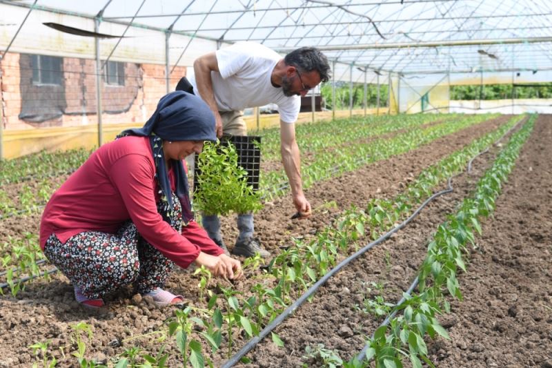 Büyükşehir destekliyor, tarım güçleniyor