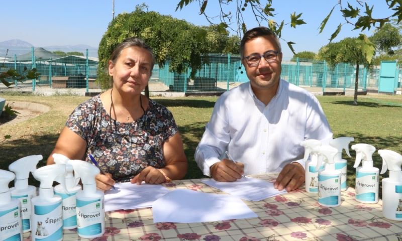 Sokaktaki Dostlarımızın Sağlığı İçin