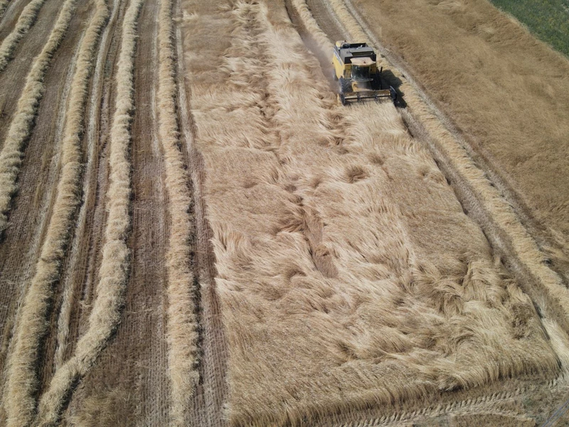 ODUNPAZARI TARIMSAL ALANDAKİ ÇALIŞMALARINI SÜRDÜRÜYOR