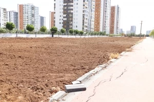 Mezopotamya Bulvarı’nda yeşil kuşak hattı oluşturuluyor