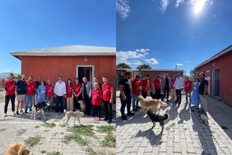 SOKAK HAYVANLARI İÇİN GÖNÜLLÜ VETERİNER HEKİM VE TEKNİKERLER, ARDAHAN BELEDİYESİ İLE BİR ARAYA GELDİ