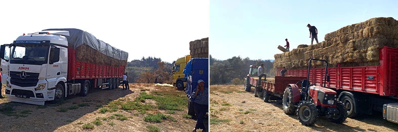 Kocaeli’den, Çanakkale’deki yangın mağduru çiftçilere destek