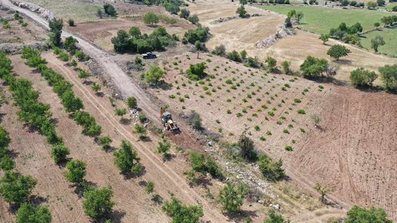 PAMUKKALELİ ÇİFTÇİLERİN YOLLARI HEP AÇIK