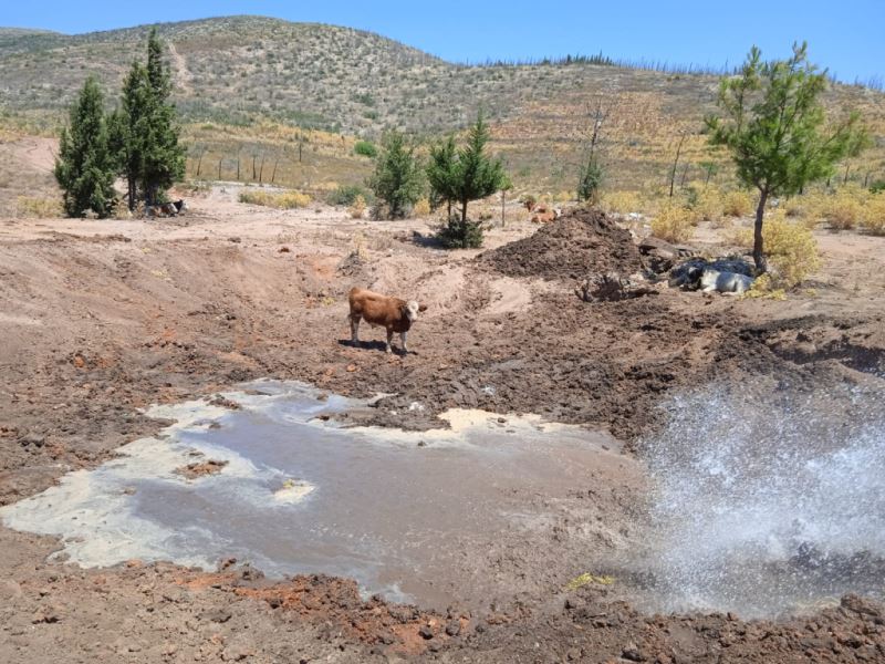 BİN 651 TON SU TAKVİYESİ