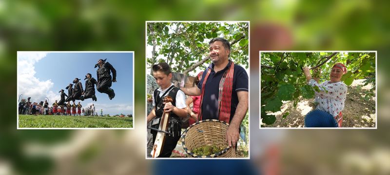 GİRESUN BELEDİYESİ BU YIL DA FINDIK HASAT ŞENLİĞİ GELENEĞİNİ SÜRDÜRÜYOR