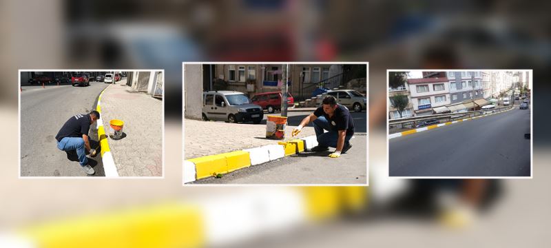 ŞEHRİMİZ RENKLENİYOR, BORDÜR TAŞLARIMIZ BOYANIYOR